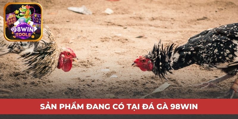 Sản phẩm đang có tại đá gà 98win