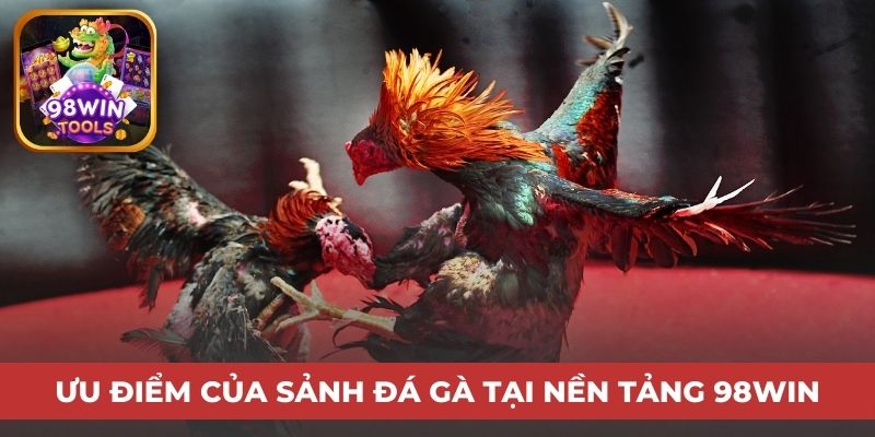 Ưu điểm của sảnh đá gà tại nền tảng 98win